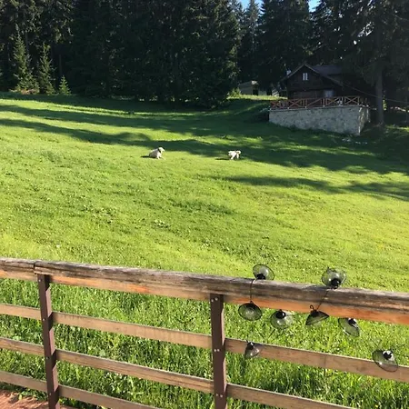 アパート Blue Eko Fis ヴラシチ