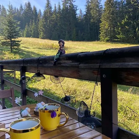 Apartmán Blue Eko Fis