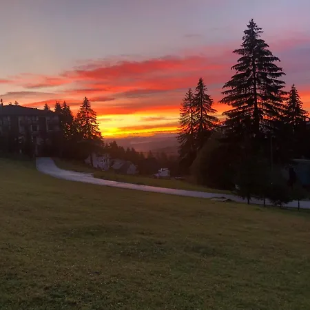 Blue Eko Fis * Vlasic